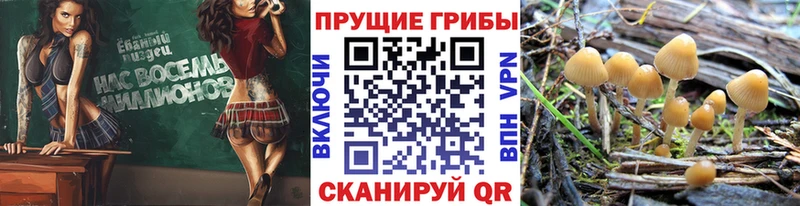 Галлюциногенные грибы MAGIC MUSHROOMS  Первоуральск 